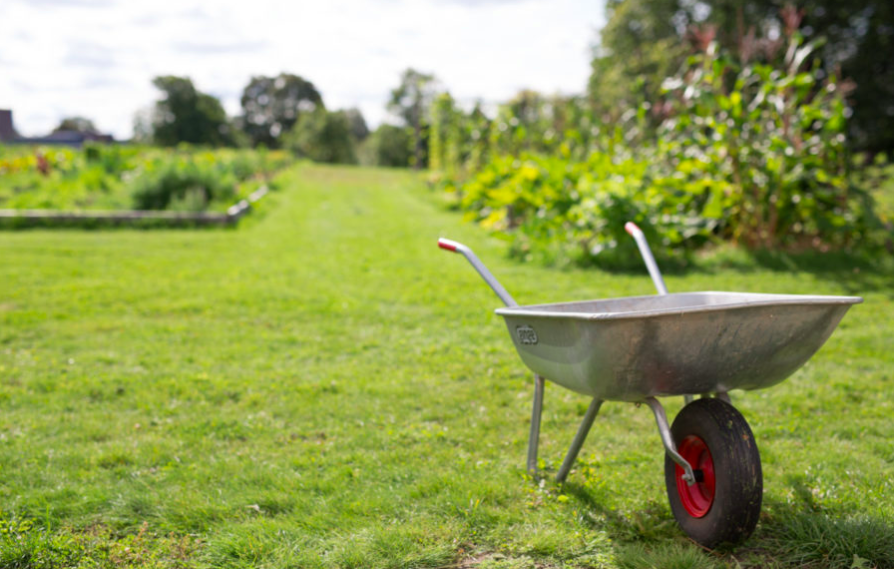 Cultivating public spaces