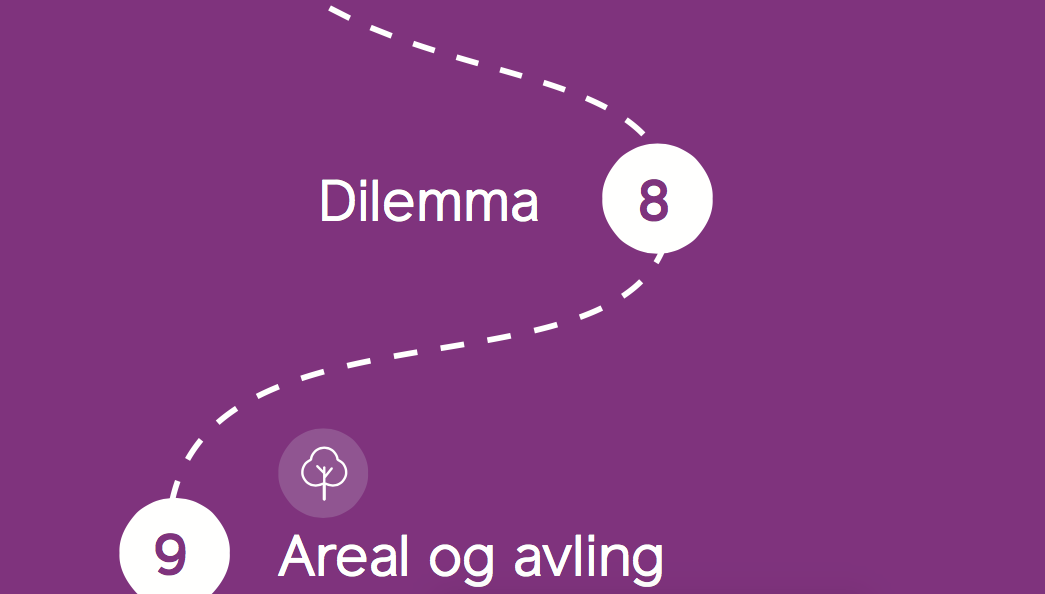 Lærerveiledning
