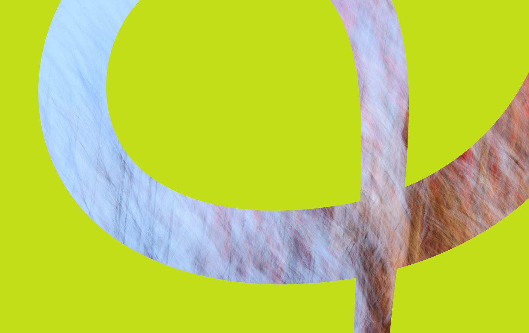 Relating forests: The Cross-Border Art Project that Reimagines Humanity’s Bond with Forests (2025)
