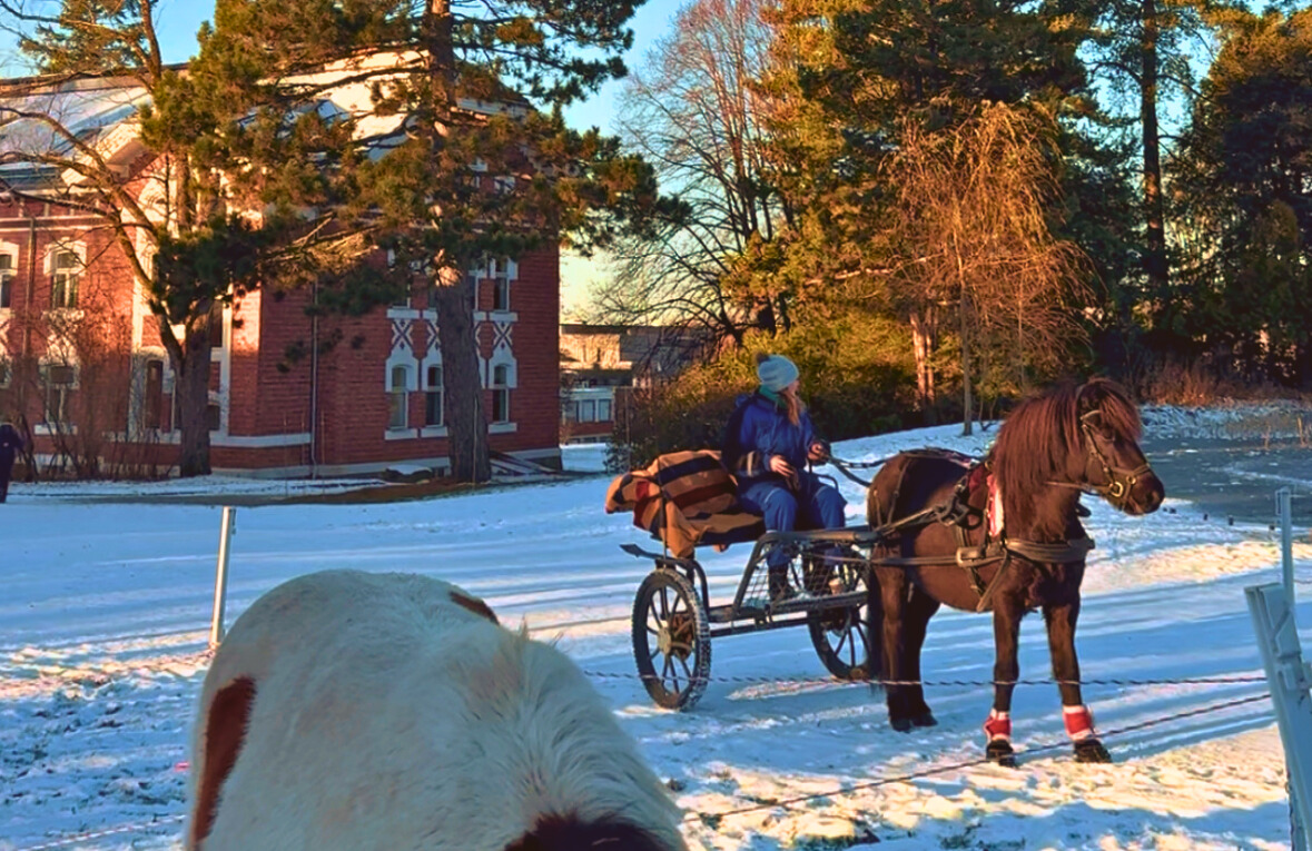 Vitenparkens Julemarked 2025: Delta som utstiller  29. – 30. november kl. 10 – 16