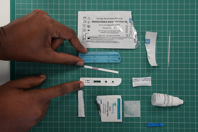 After the Single Use (2024 – 2029) 
