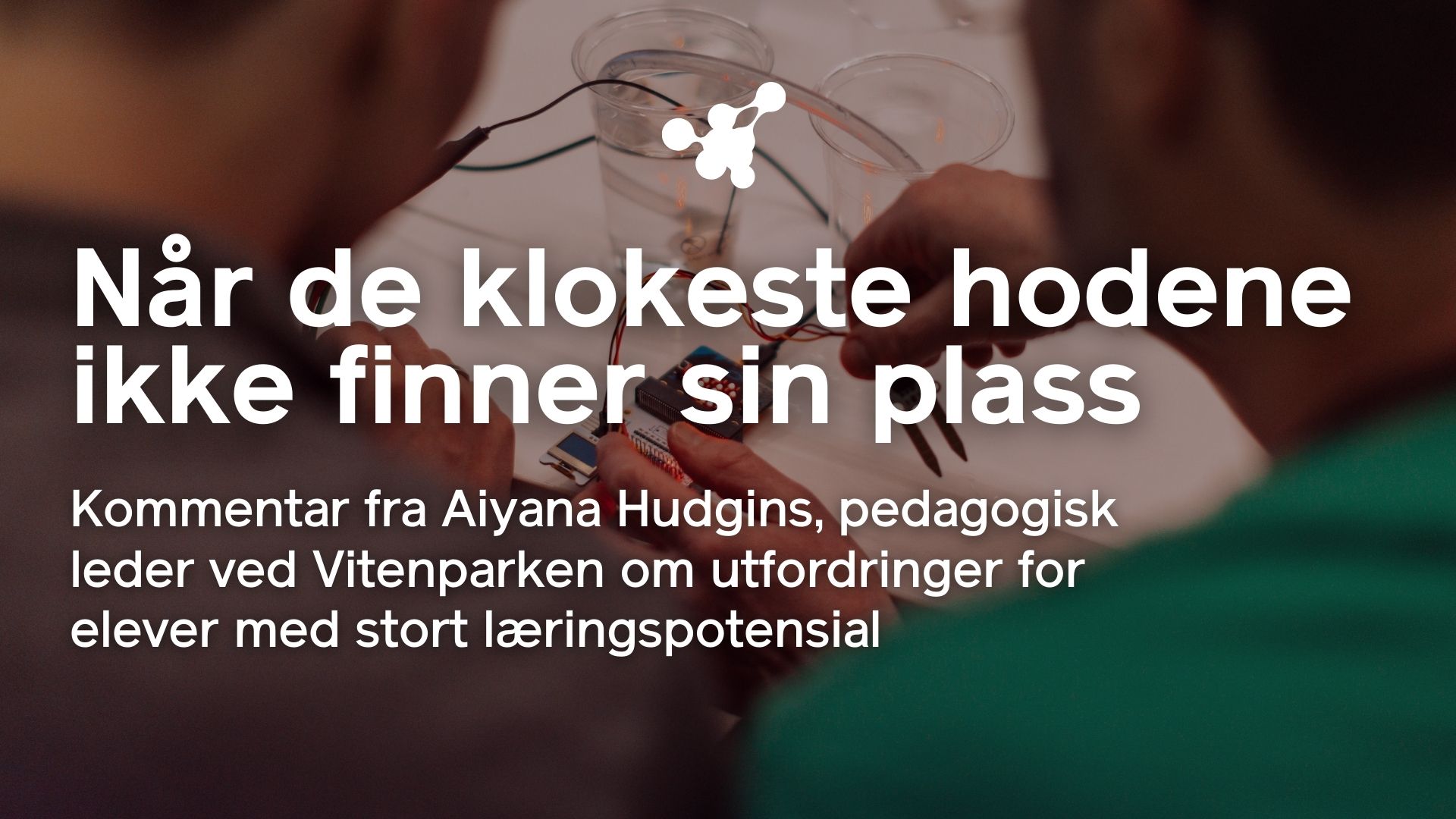 Når de klokeste hodene ikke finner sin plass